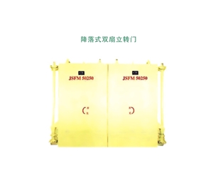 山西降落式双扇立转门