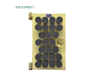 山西胶管式防爆活门